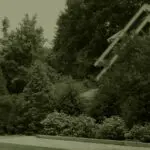 Layered shrubs and fencing reduce unwanted sightlines, helping define outdoor space while maintaining a natural residential feel.