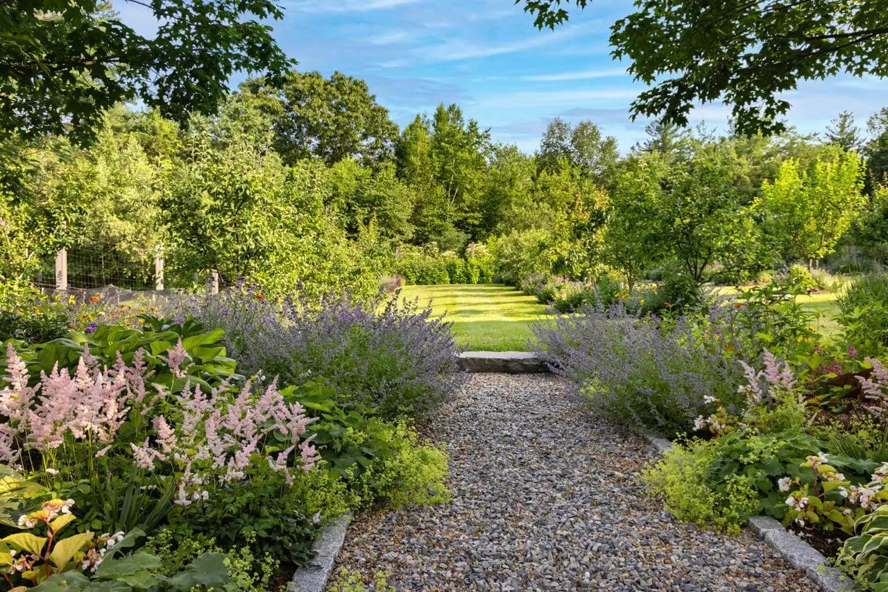 Carlisle, MA - A gravel path reinforces a strong lawn axis, guiding views and movement through structured perennial borders. Photo: Warren Patterson