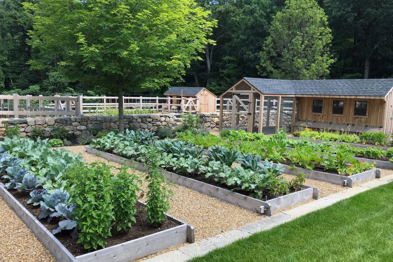 Carlisle, MA - Elevated planting beds are contained by stone walls that improve drainage, accessibility, and visual order within the productive garden.