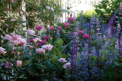 Cambridge Federal In Full Bloom | Boston Home Magazine