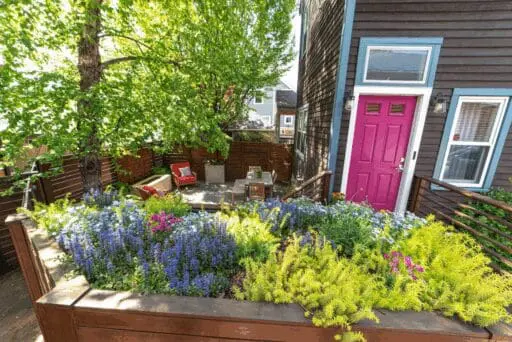 Cambridge roof garden with built-in wood planters, colorful flowering perennials, mature shade trees, and a compact outdoor seating area.