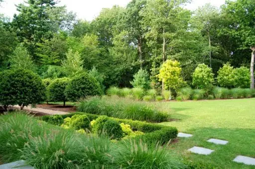 Flower-free Gardens | Boston Design Guide