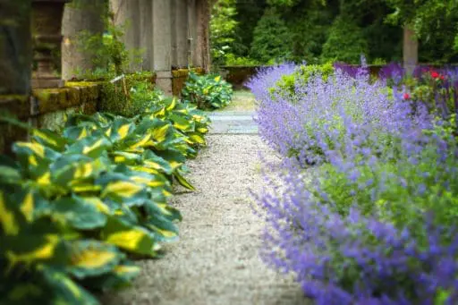 a low maintenance design stone path