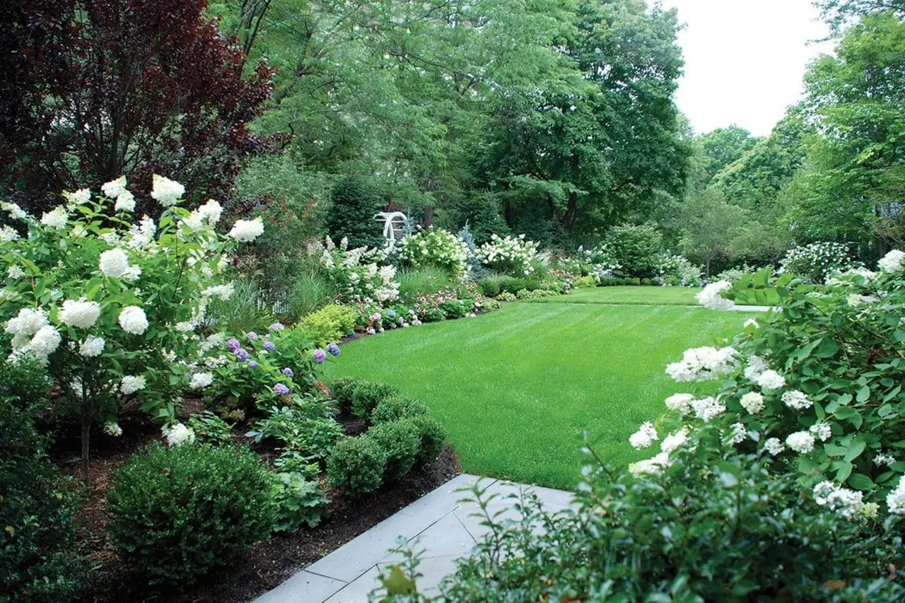 gardens - bluestone path, hydrangea, boxwood