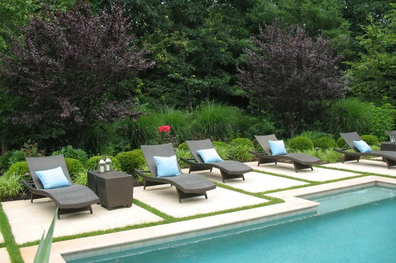 hardscapes - needham, poolside furniture, patio, plum tree