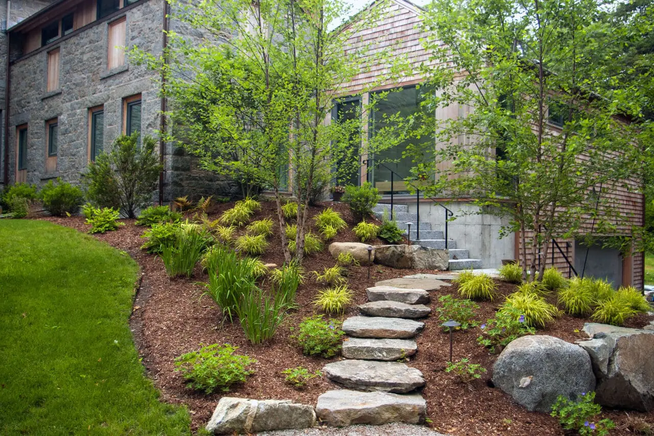 Naturalistic grasses stabilize a hillside in Concord, softening stone steps while improving erosion control and adding movement to a sloped New England landscape.