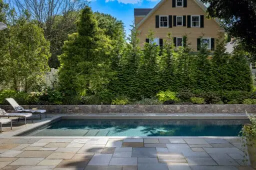 Arborvitae and ornamental trees shield the pool area from neighboring properties, improving comfort and visual separation.