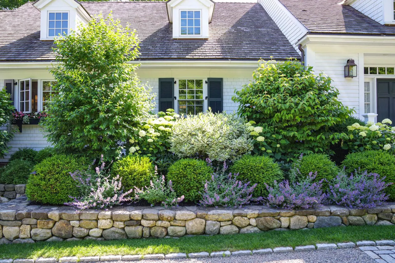 A mixed shrub border softens this stone retaining wall, combining evergreen structure and layered textures to define the front yard while improving drainage and visual depth.