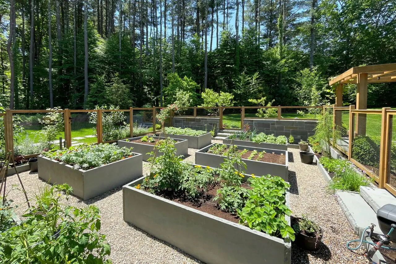 Container vegetable plantings and gravel paths create a flexible garden layout well suited to New England’s compact growing season.