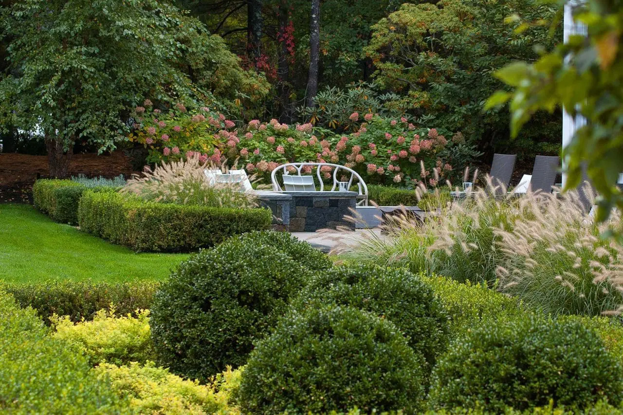 Weston, MA - Beautiful stone walls softened by ornamental grasses, boxwood, and hydrangea.