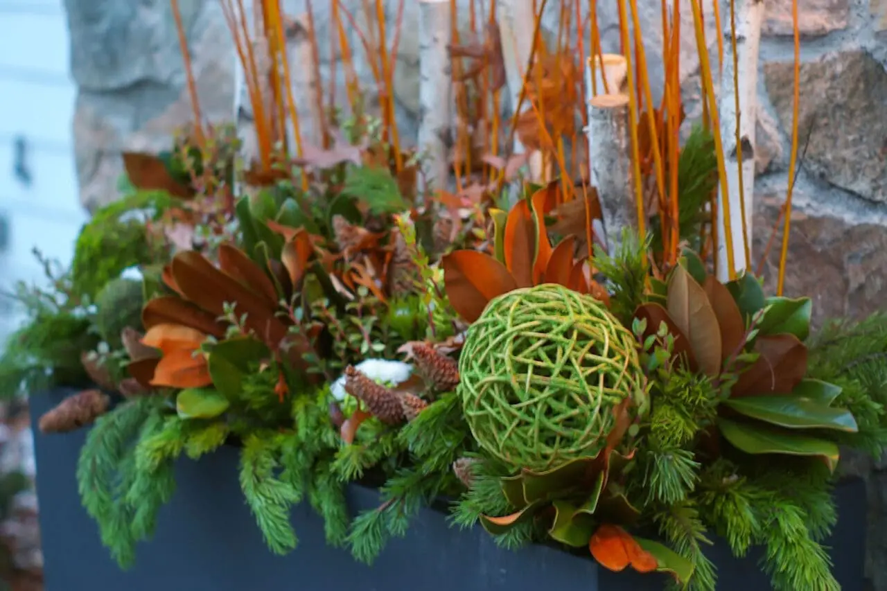 Boston winter window box filled with evergreen boughs, magnolia leaves, birch branches, pinecones, white berries, and seasonal accents.
