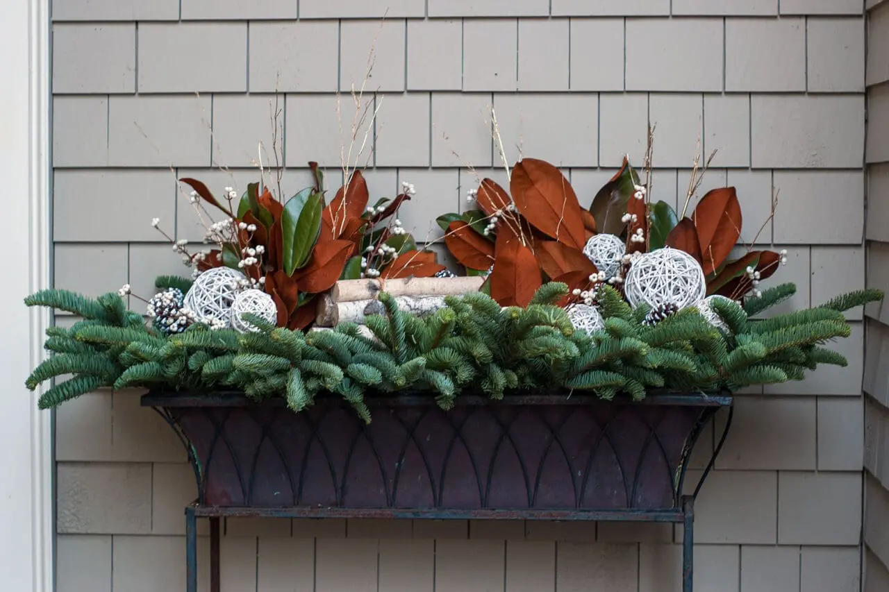 New England winter window box filled with evergreen boughs, magnolia leaves, birch branches, white berries, pinecones, and decorative white spheres.