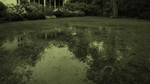 Sudbury, MA - Standing rainwater pools across a saturated backyard lawn after a storm.
