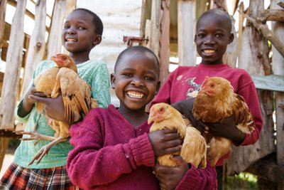 Giving Back to Heifer International, charity