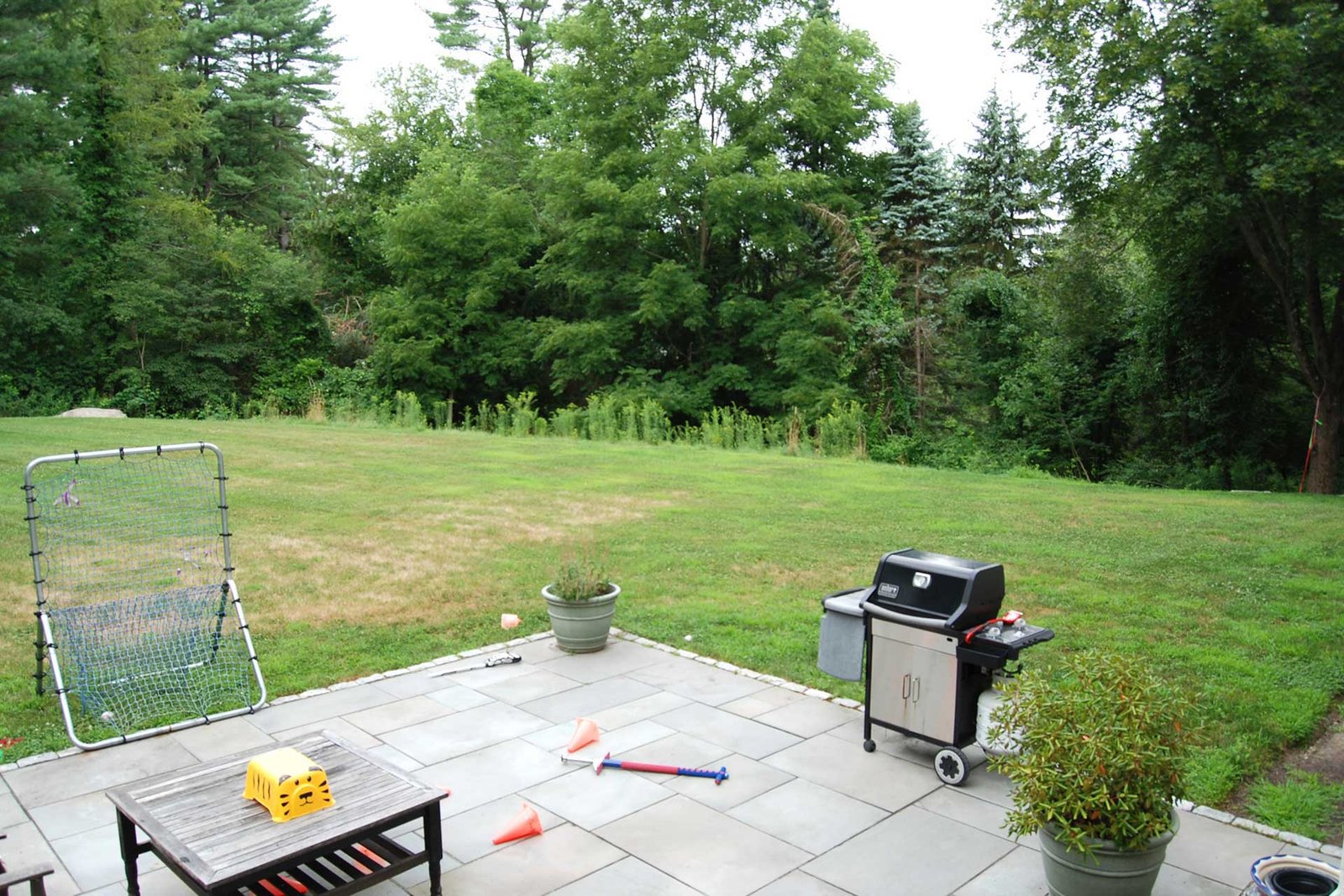 Before photo of Weston backyard with simple patio and lawn prior to landscape renovation