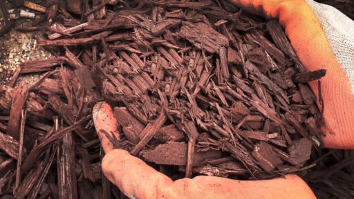 A rich layer of shredded bark mulch, showing the coarse texture and natural material used to protect and finish garden beds.
