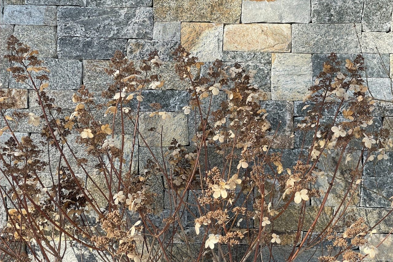 A low stone wall defines the garden through winter, its strong line and texture standing out among bare branches, evergreens, and dormant plantings.