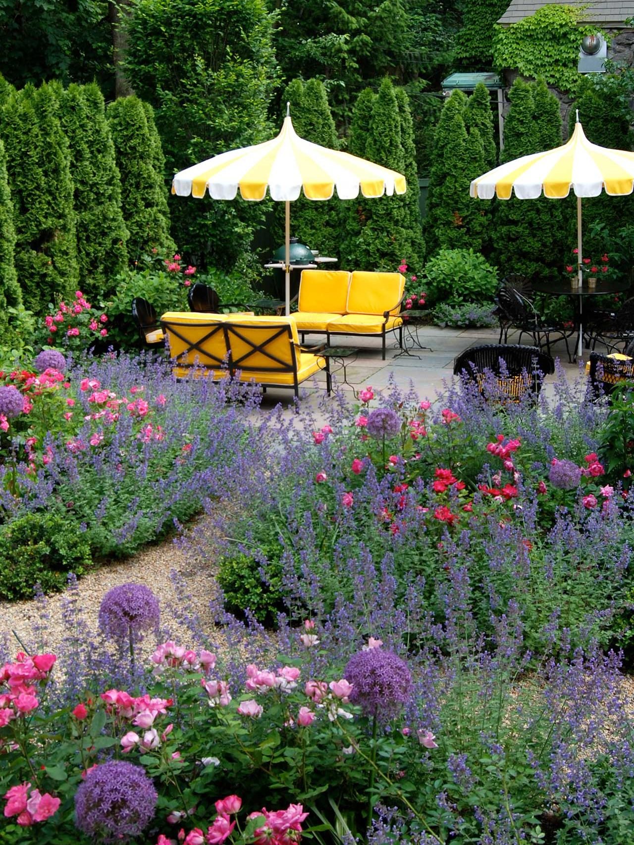 Brookline, MA - Nepeta, Alium, and landscape roses provide an exploion of color in early summer.