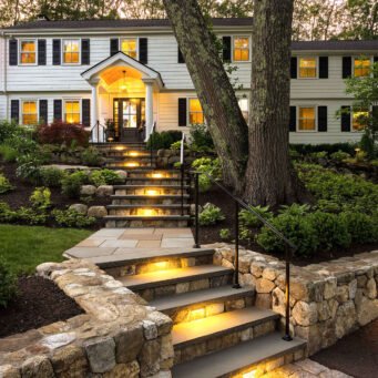 Step lighting improves visibility and confidence while blending seamlessly into the surrounding landscape.
