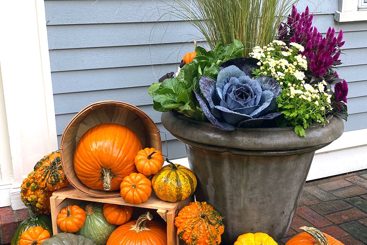 A tipped barrel display in Brookline, MA with pumpkins and fall annuals delivers rustic charm and creative flair, highlighting the playful side of seasonal design.