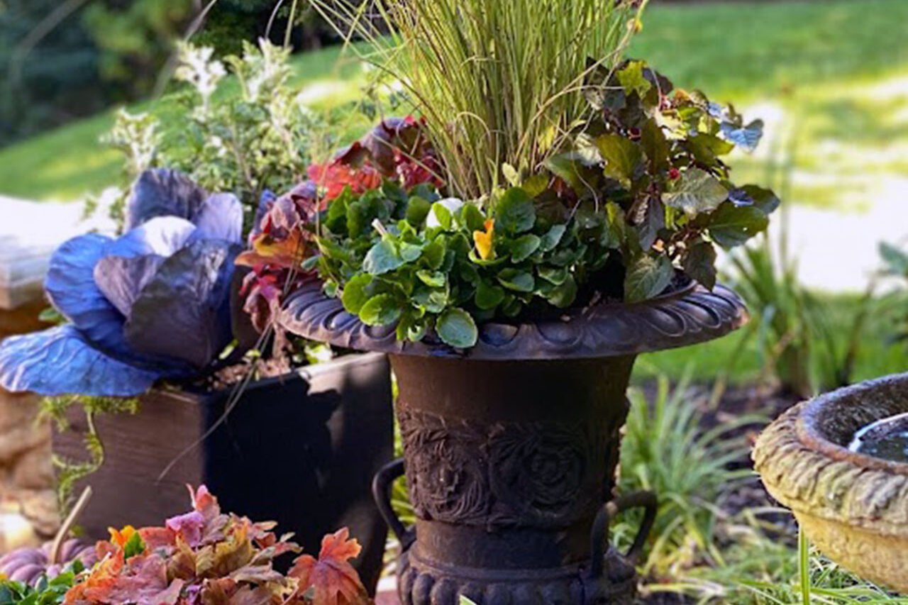 A classic urn filled with ornamental grass and mixed fall annuals adds movement and texture, offering a timeless approach to autumn container design.