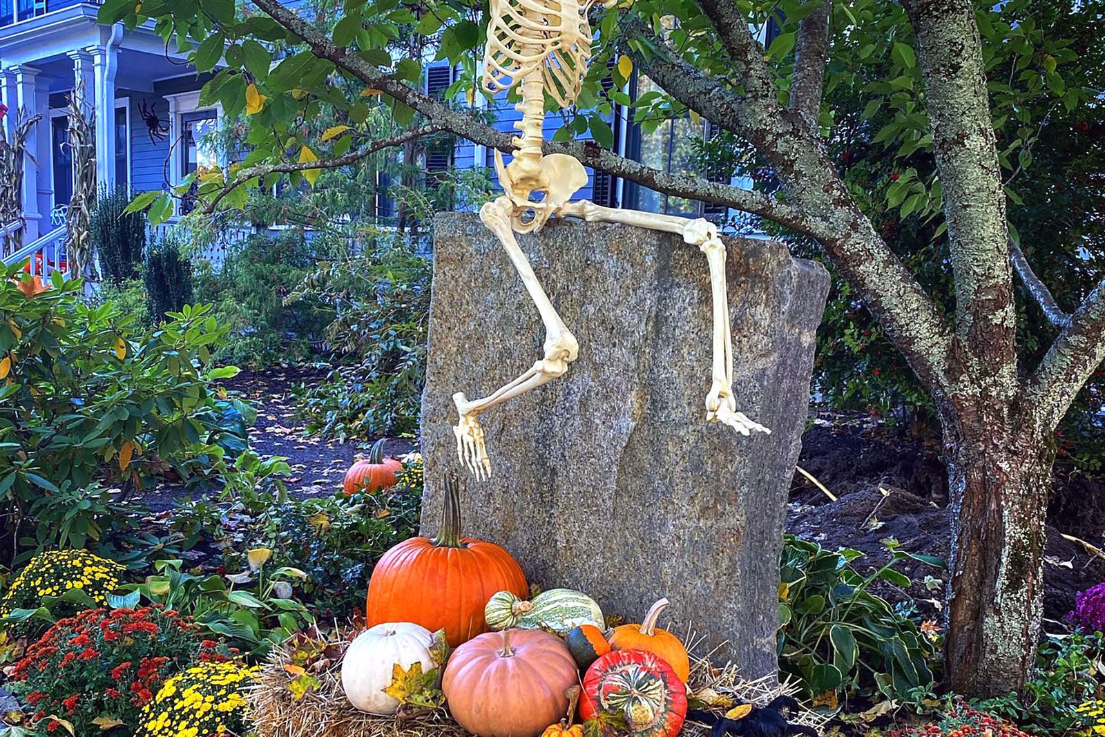 A skeleton perched on a granite monolith overlooks pumpkins and hay bales, mixing garden art with Halloween whimsy for a striking and memorable fall display.