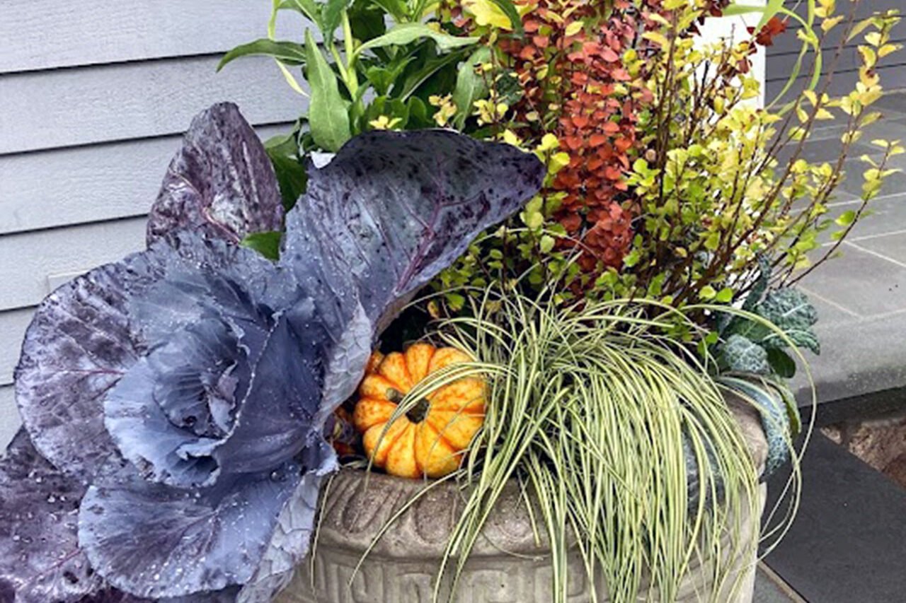 Ornamental grasses, cabbage, and gourds fill terrace planters, tying stone hardscape to seasonal color while demonstrating how fall containers enhance outdoor living spaces.
