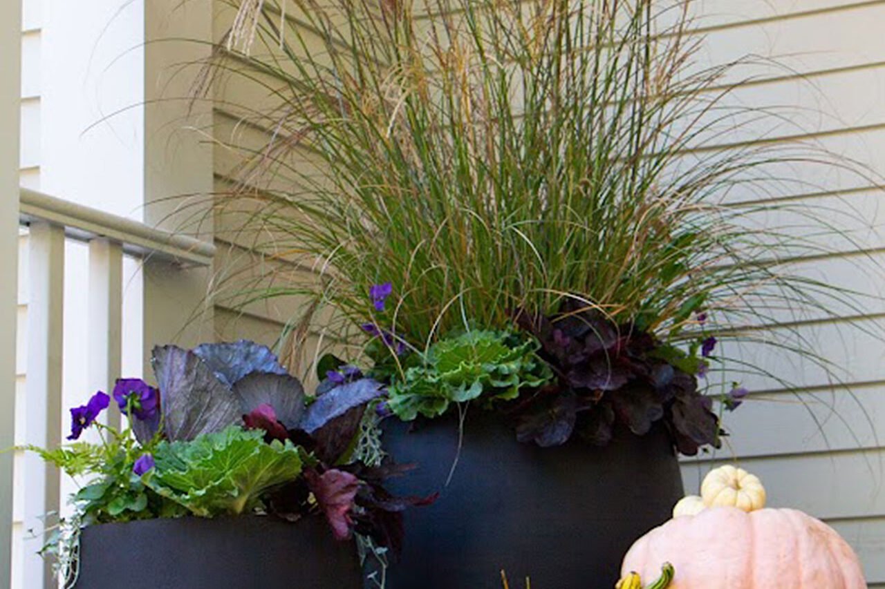 Modern porch planters pair ornamental grasses with pumpkins for a clean, contemporary fall look that frames the entry and shows how seasonal displays adapt to different architectural styles.