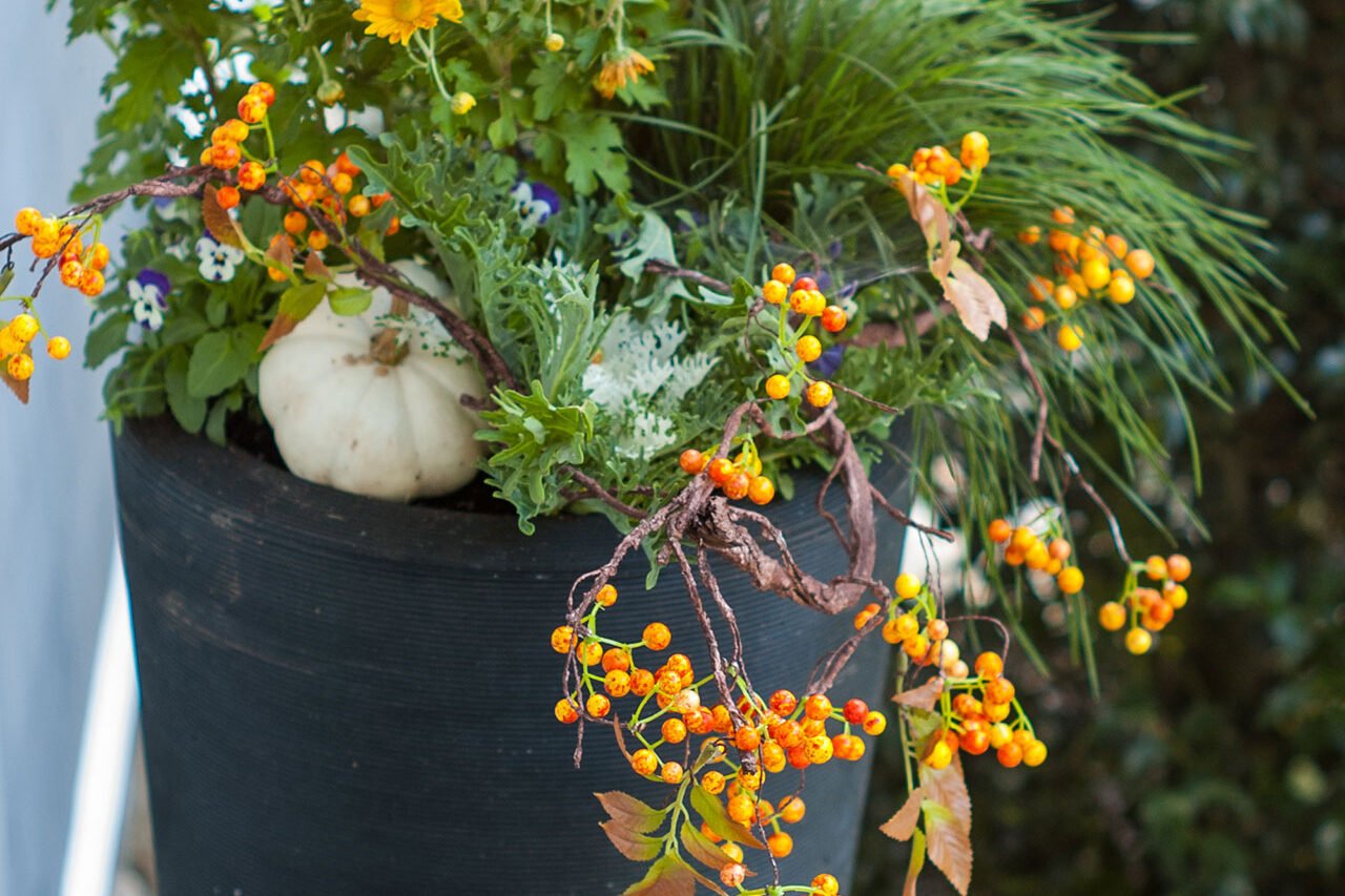 Tall black containers layered with fall mums, grasses, berries, and pumpkins frame the porch, offering height, color, and flexible seasonal impact.