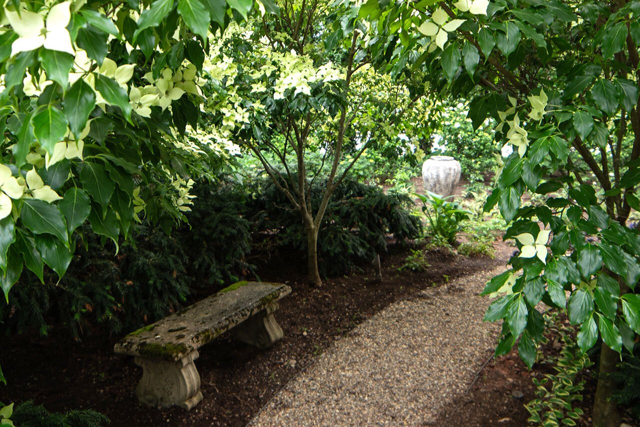 Curved gravel path winds through shade planting to a bench, creating a quiet garden retreat with easy drainage.
