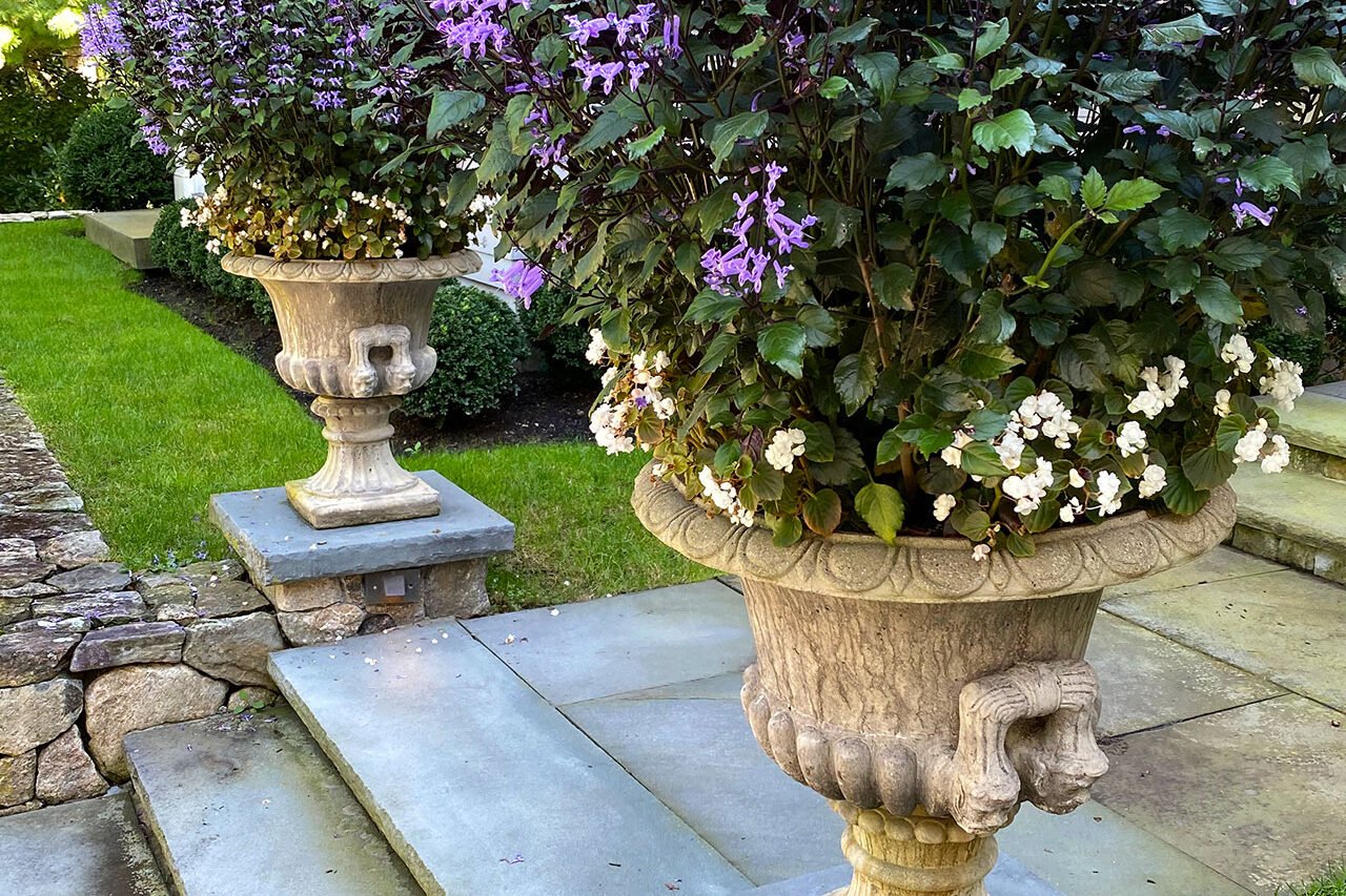 A classical stone urn filled with salvia delivers strong summer color through mass planting that simplifies watering and replacement.