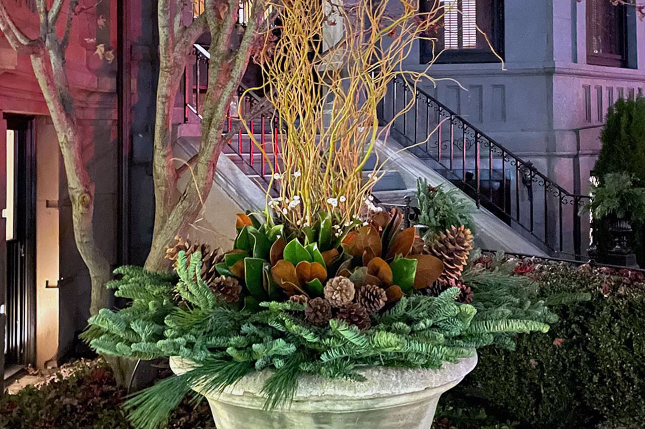 A large concrete urn on a rooftop terrace in Cambridge, MA supports flowering vines and annuals, offering stability and seasonal flexibility in an exposed setting.