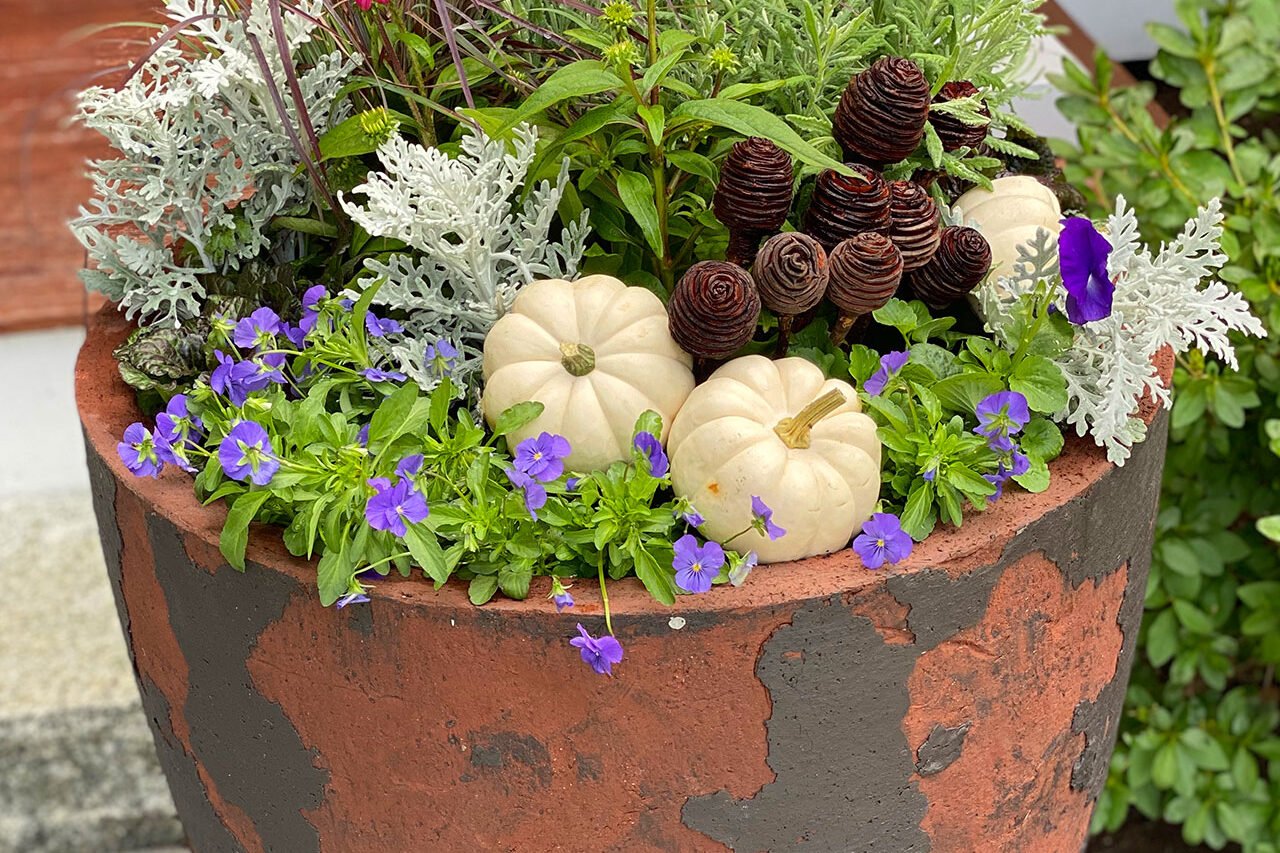A rustic clay cylinder planter holds fall annuals accented with a small pumpkin, adding seasonal character to a porch with simple care needs.