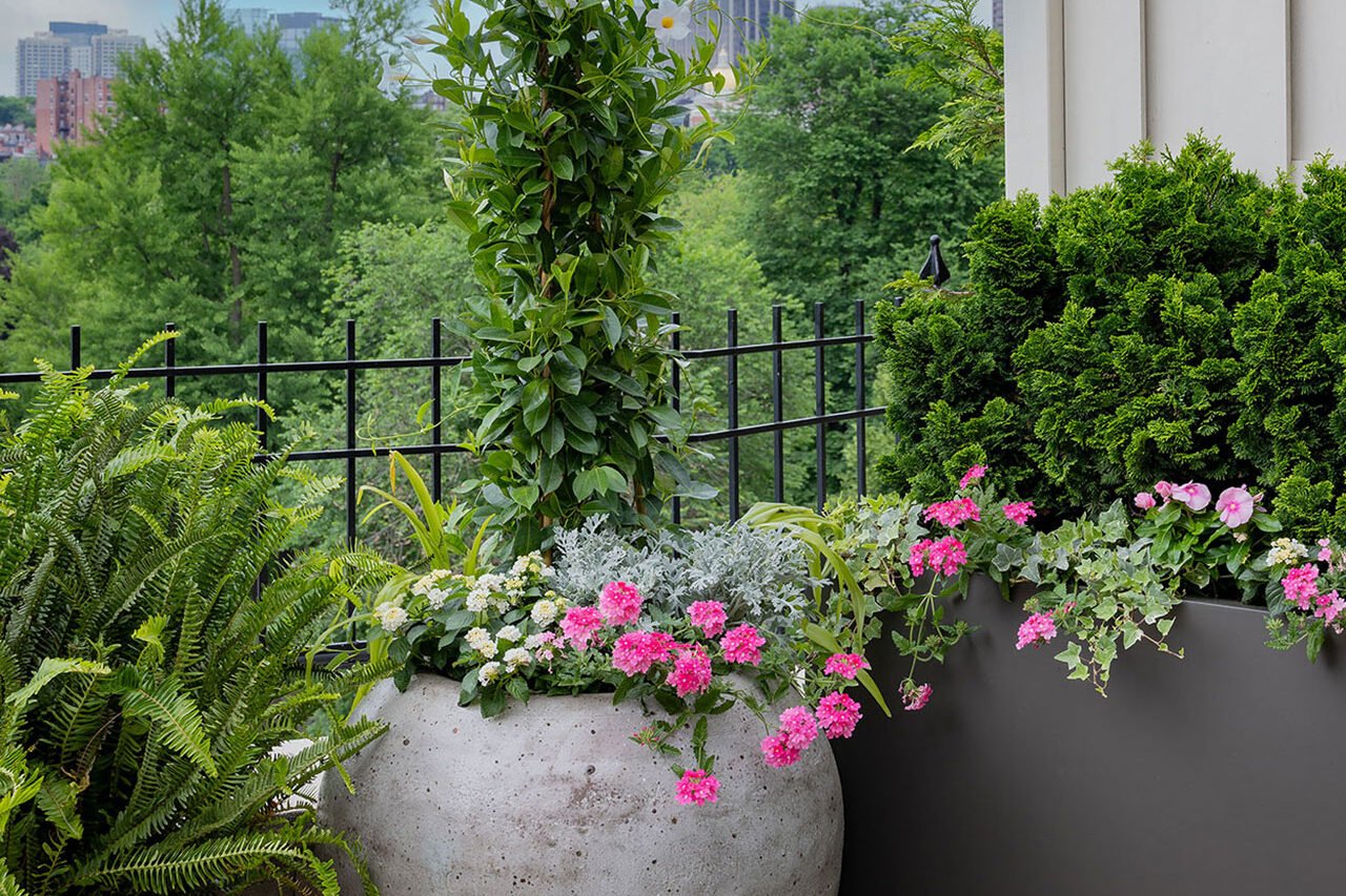 Boston, MA - A variety of concrete planters define a modern terrace with mixed perennials, adding height and structure while supporting long-term use and seasonal flexibility.