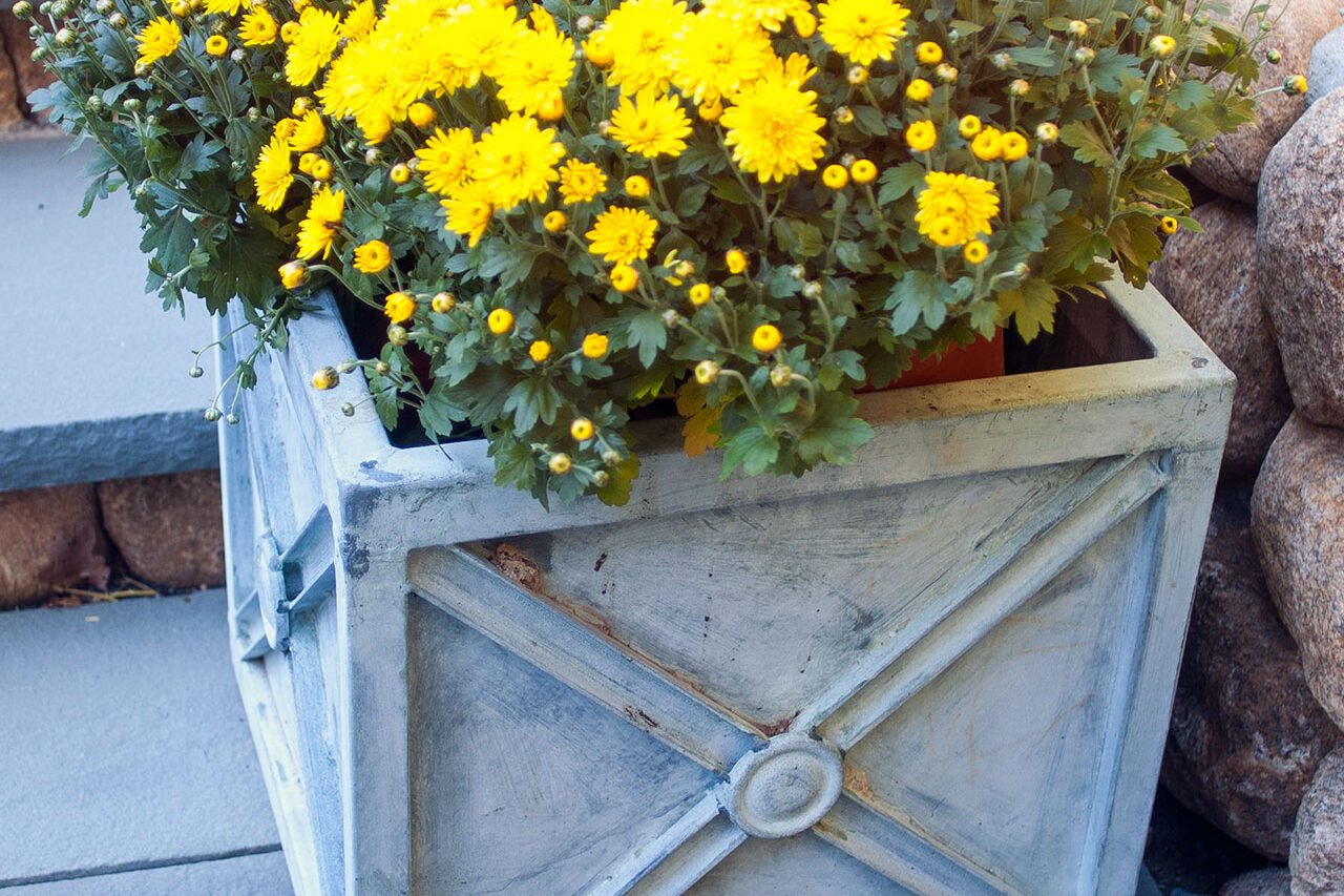 A weathered box planter introduces fall color with tightly planted mums, defining patio space while offering a simple, low-effort seasonal update.