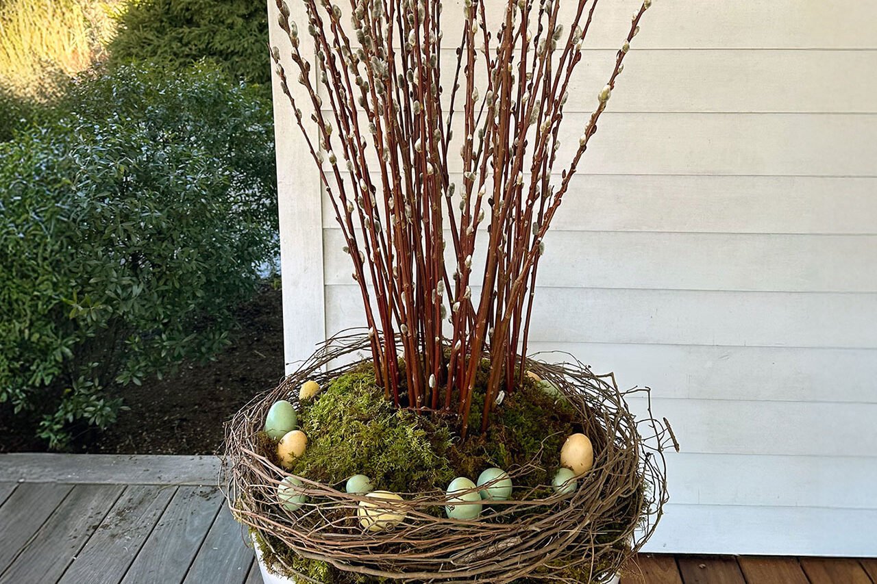 A white tapered modern urn supports a light Easter display of pussy willow and moss, offering a clean, neutral container that adapts easily to changing seasonal plantings.