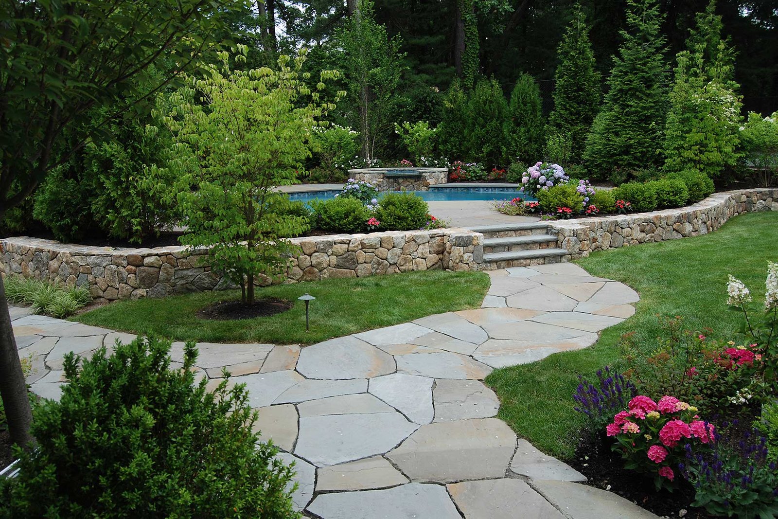 Wellesley backyard with stone path, raised pool terrace, and planting