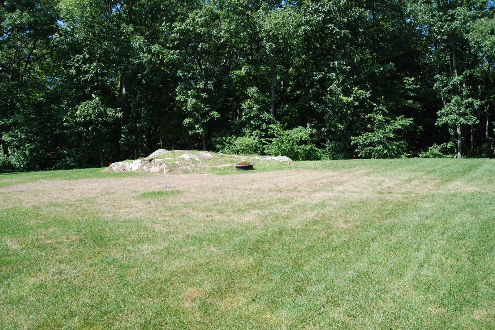 Westwood backyard lawn before pavilion and pool installation