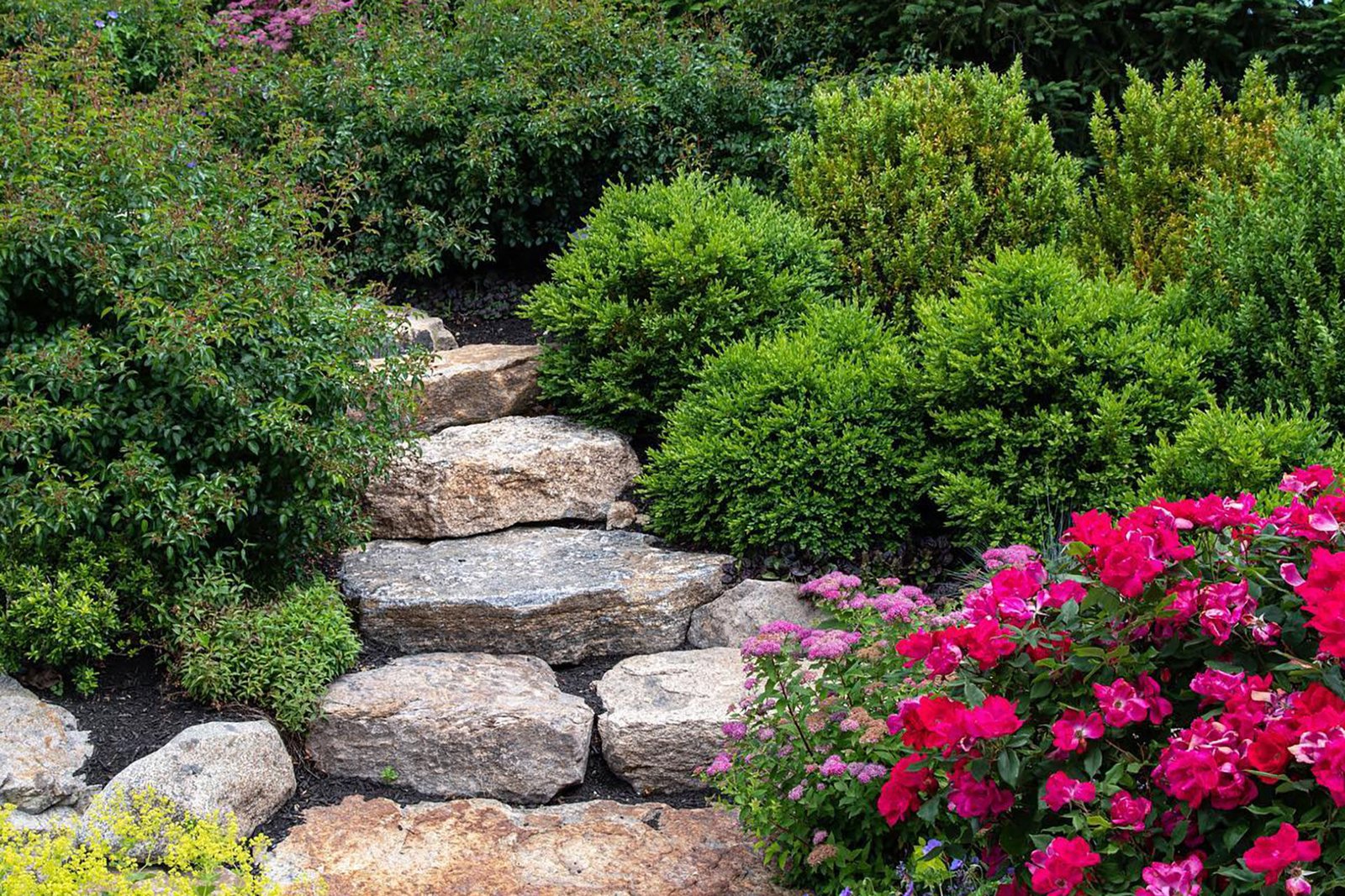 Ledgestone garden steps follow the hillside contour, using irregular stone and surrounding shrubs to stabilize the slope while creating a naturalistic transition between garden levels.