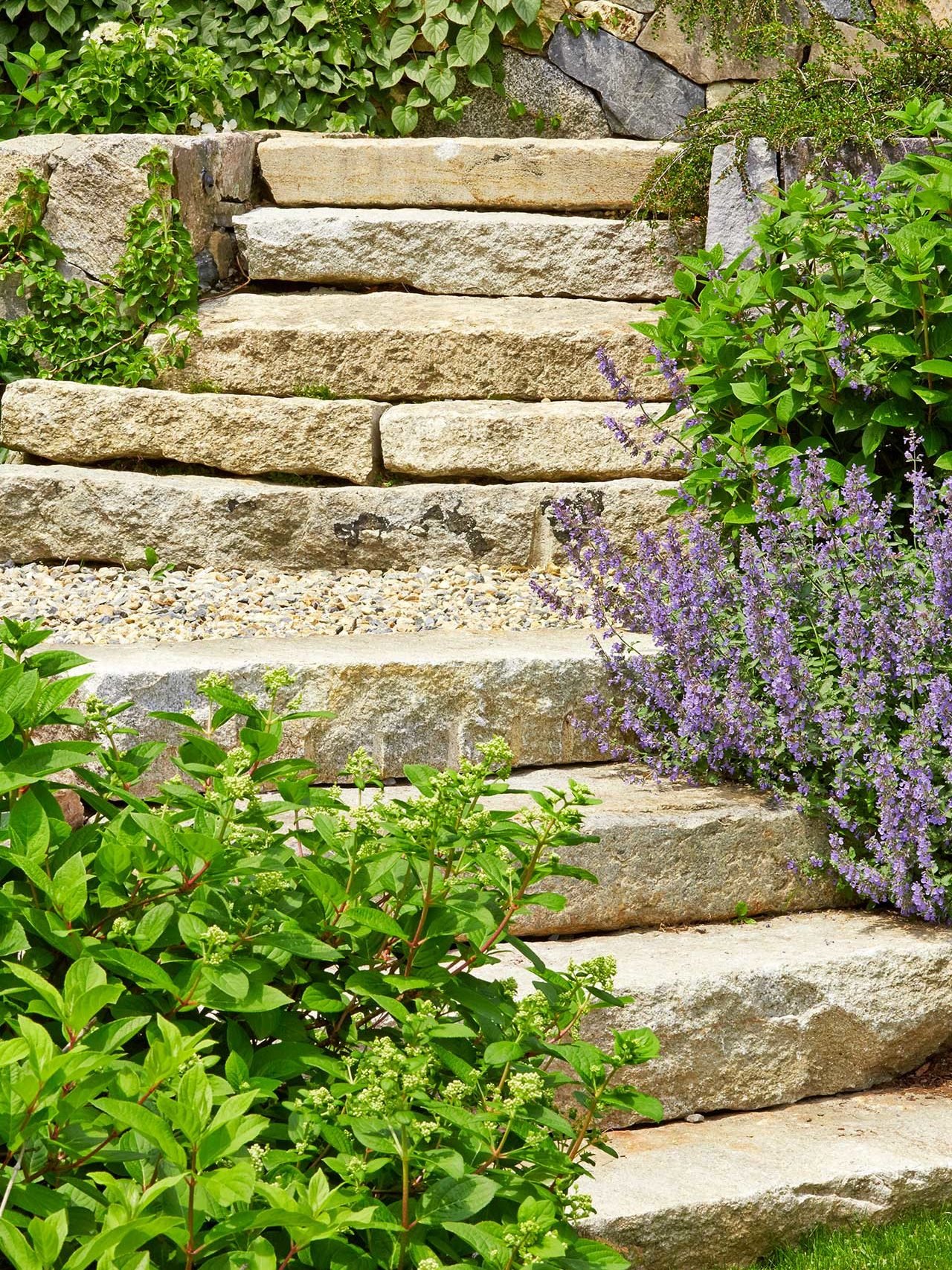 Wayland, MA - A series of stone steps connect the various outdoor rooms and encourage the visitor to explore the historic property. Photo: Charles Mayer